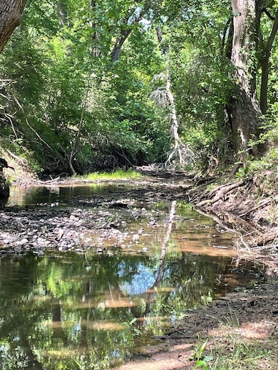 View of local wilderness