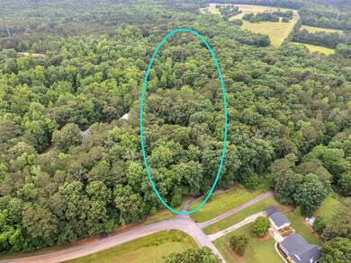 507 N Green Cir, McDonough, GA 30252 - photo 2