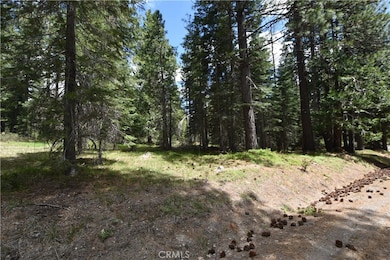 0 Fumarole Dr unit SN25120276, McCloud, CA 96057 - photo 3