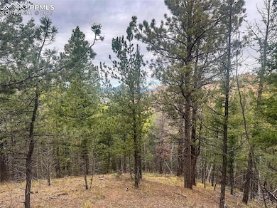 599 Dandy Jim Dr, Cripple Creek, CO 80813 - photo 5