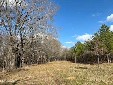 Photo Feb 07 2025, 2 39 39 PM