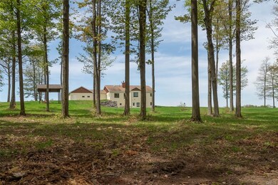 View from the woods