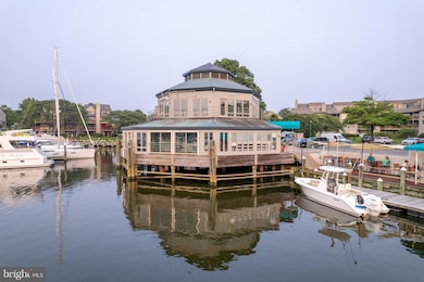 7030 Channel Village Ct unit 202, Annapolis, MD 21403 - photo 7