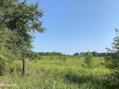 0 Highway 63 S, Lucedale, MS 39452 - photo 4