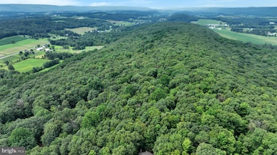 0 Long Run Rd, Pine Grove, PA 17963 - photo 3