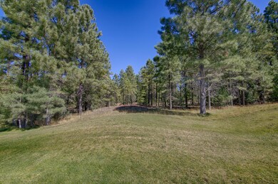 4041 W. Ninebark Torreon Land for Sale 9