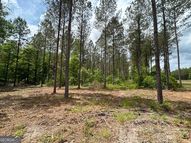 0 Springhaven Rd unit LOT 18 10589731, Dexter, GA 31019 - photo 3