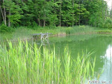 Yard/Garden The pond also provides a place for sum