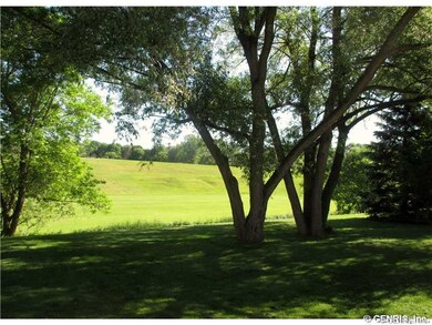 Yard.