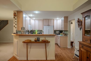 70778 Halsey Square Rd, Burr Oak, MI 49030 - photo 4