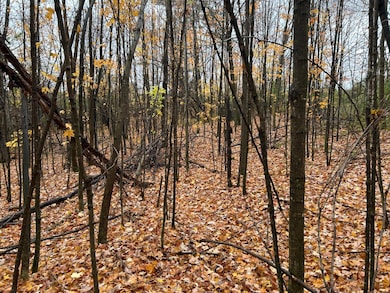 ON Sunset Rd, Elcho, WI 54428 - photo 4