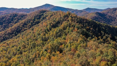 0 Tbd East Fork Rd, Sylva, NC 28779 - photo 2