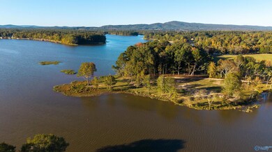 Lot 28 County Road 115, Cedar Bluff, AL 35959 - photo 3