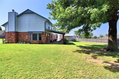 Big Pin Oak Shade Tree !!