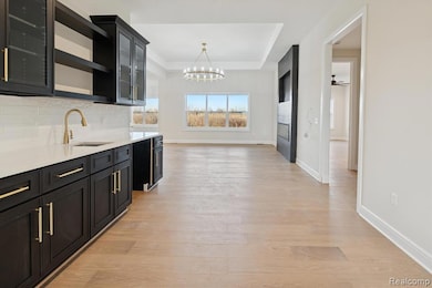 Kitchen featuring open shelves, a raised ceiling, dark cabinets, glass insert cabinets, and light wood finished floors