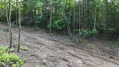 TR 2 E New Hope Rd, Ellijay, GA 30536 - photo 4