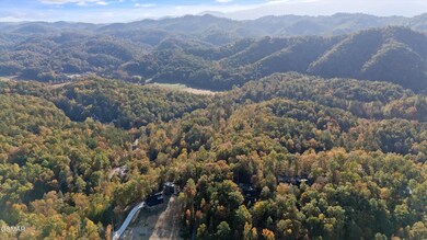 07-DJI_20240815104747_0002_D