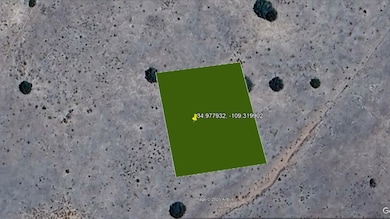 Apache unit AZ, Saint Johns, AZ 85936 - photo 3