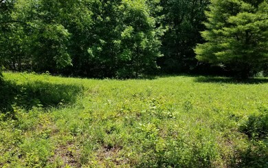 Additional View