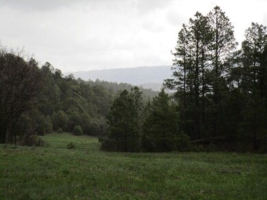 33089 Lodgepole Trace, Trinidad, CO 81082 - photo 2
