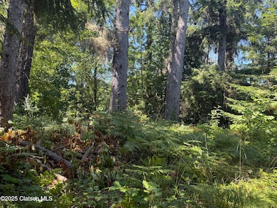 0 Whiskey Rd, Warrenton, OR 97146 - photo 2