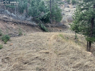 284 Neon Moon View, Manitou Springs, CO 80829 - photo 7