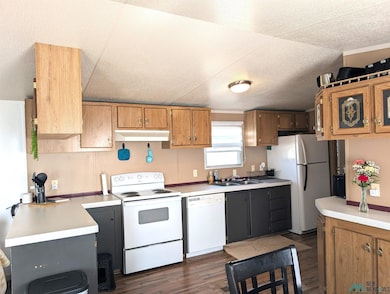 762 S Roosevelt Road Q, Portales, NM 88130 - photo 6