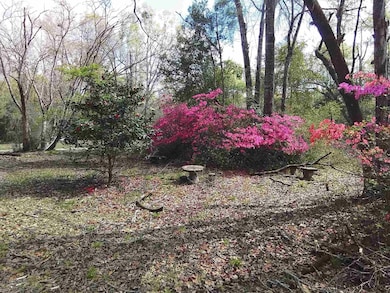 246 Northwood Rd, Crawfordville, FL 32327 - photo 7