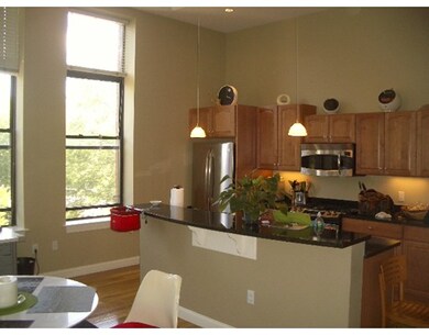 20 Mcternan St unit 207, Cambridge, MA 02139 - photo 3