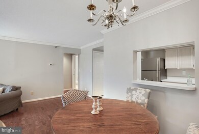 The Charleston unit 403, Arlington, VA 22201 - photo 6