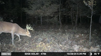 0 Tbd Varvel Rd, Willow Springs, MO 65793 - photo 3