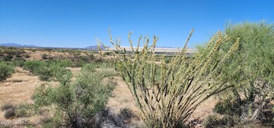 400 E Placita Loma Rosa unit 11, Green Valley, AZ 85614 - photo 3
