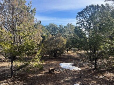 An abundance of Trees