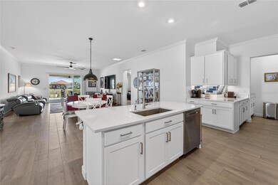 17216 Scuba Crest St, Wimauma, FL 33598 - photo 6