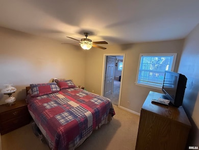 313 W Spruce St unit 1, Chatham, IL 62629 - photo 7