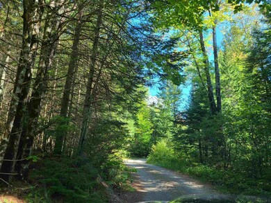 0 Moose Trail Rd unit 4884195, Bethlehem, NH 03574 - photo 4