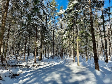 4814 New York 374, Merrill, NY 12955 - photo 6