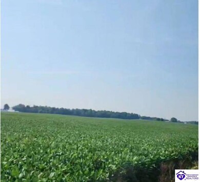 7585 - Tract 6 Sonora Rd, Sonora, KY 42776 - photo 4