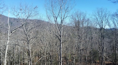 Tbd Hornet Dr, Whittier, NC 28789 - photo 2