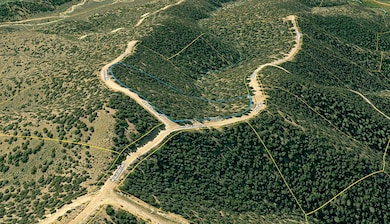 0 Sangre de Cristo Ranch unit 25676925, Fort  Garland, CO 81133 - photo 3