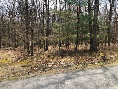 838 Muldovan Dr, Lackawaxen Township, PA 18428 - photo 3