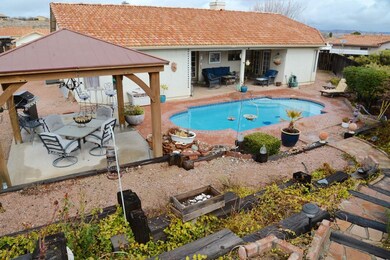 back yard oasis