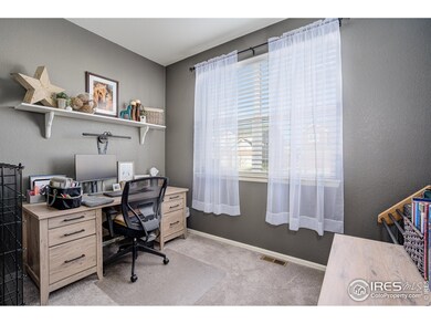 6305 Maverick Ave, Timnath, CO 80547 - photo 4