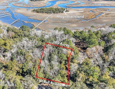 141 Bull Point Dr, Seabrook, SC 29940 - photo 3