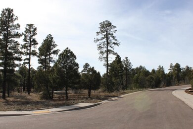 200 W Pine Haven Cir, Show Low, AZ 85901 - photo 4