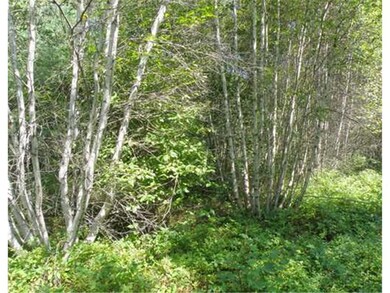 Land/Lot.