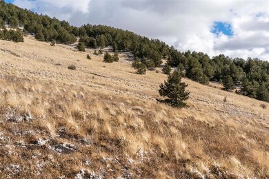 0 Private Rd unit 7747093, Cripple Creek, CO 80813 - photo 5