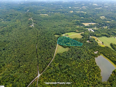 0 S Packs Mountain Rd, Taylors, SC 29687 - photo 6