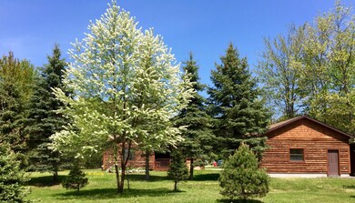IMG_0018