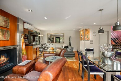 650 S Monarch St unit 9, Aspen, CO 81611 - photo 6